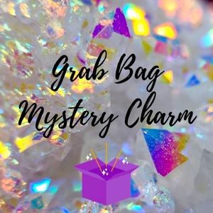 Mystery purse or bridle charm grab bag lot